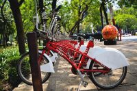 Pasear en bicicleta en la Ciudad de México, la mejor opción